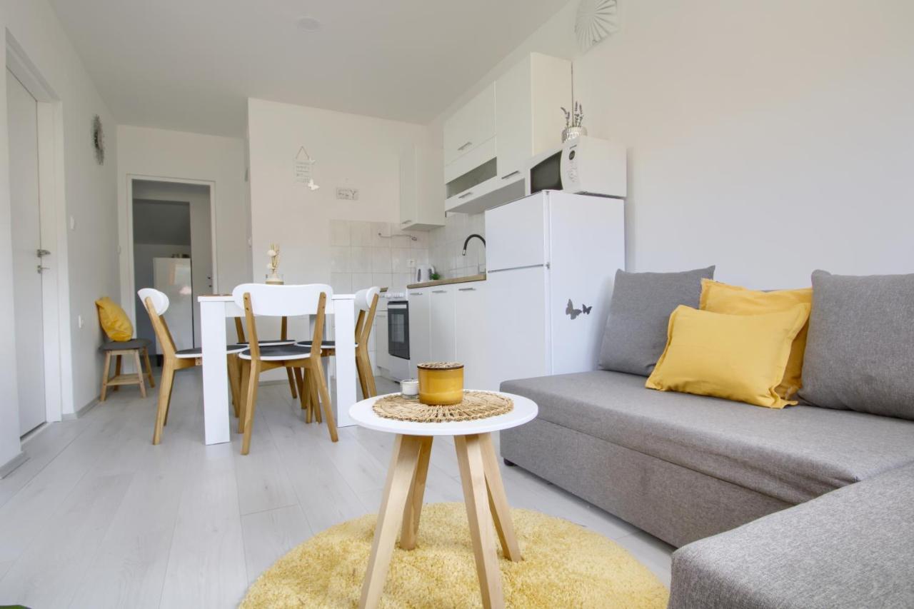 Apartments Villa Mihaela Banj Bagian luar foto