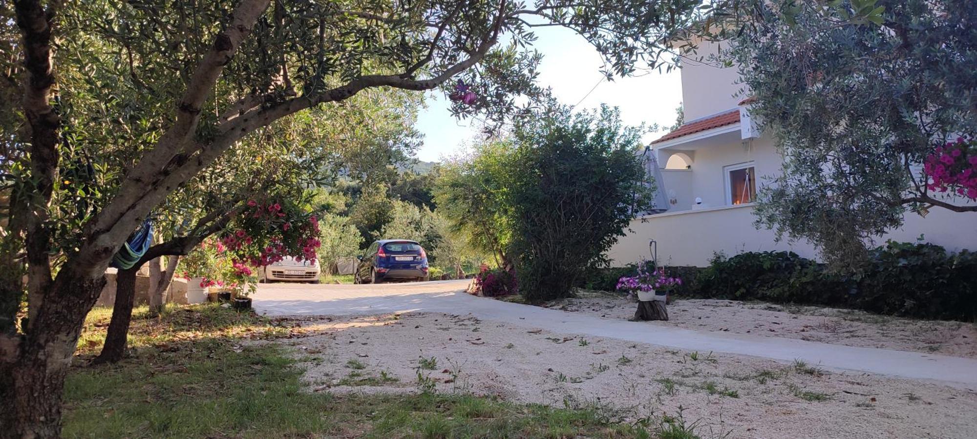 Apartments Villa Mihaela Banj Bagian luar foto