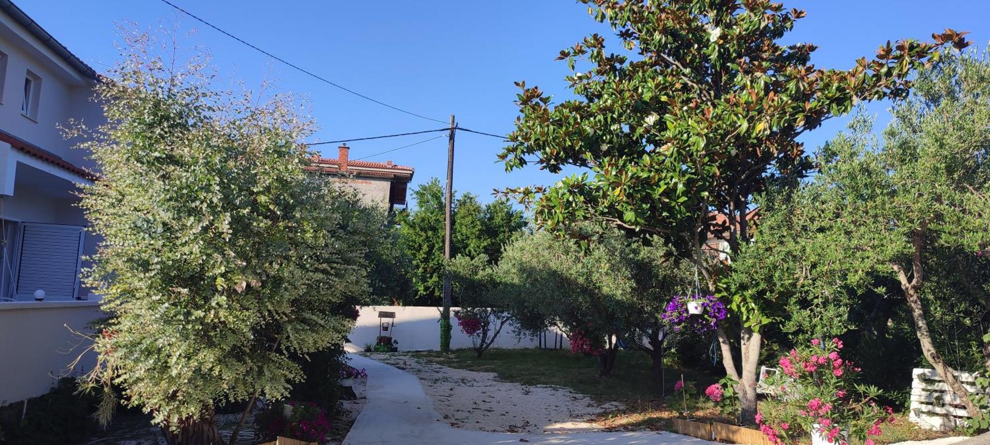 Apartments Villa Mihaela Banj Bagian luar foto