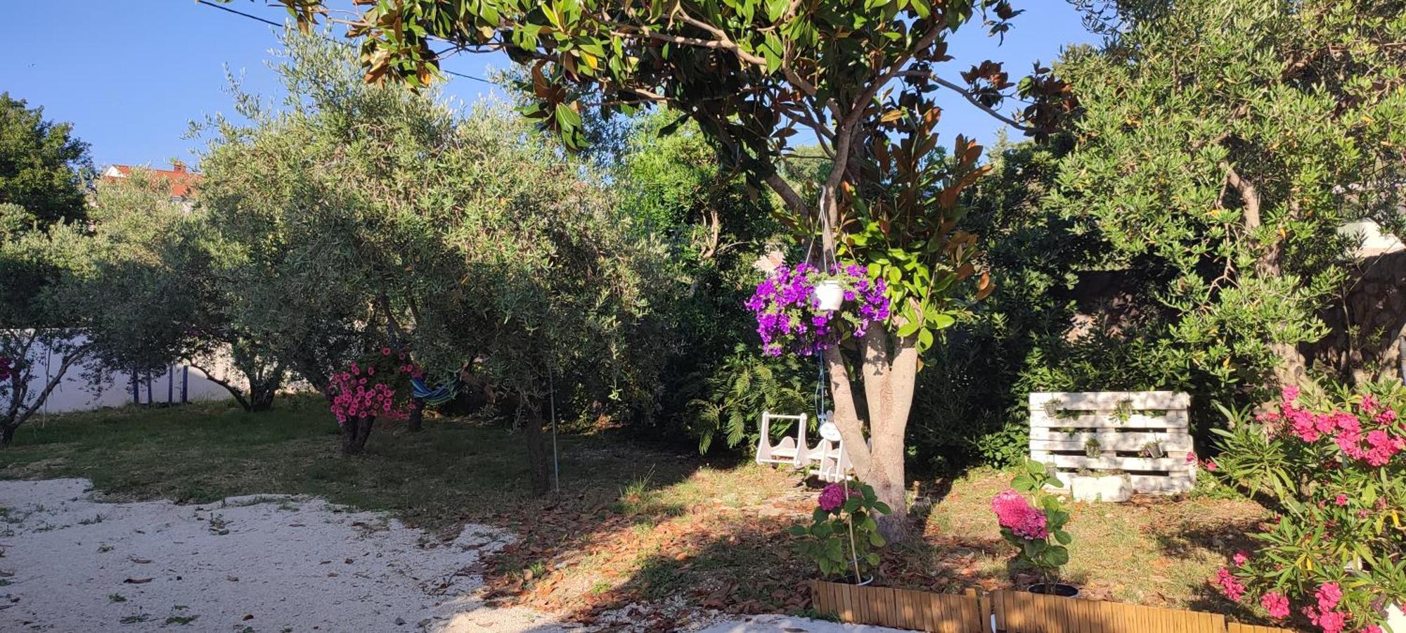 Apartments Villa Mihaela Banj Bagian luar foto